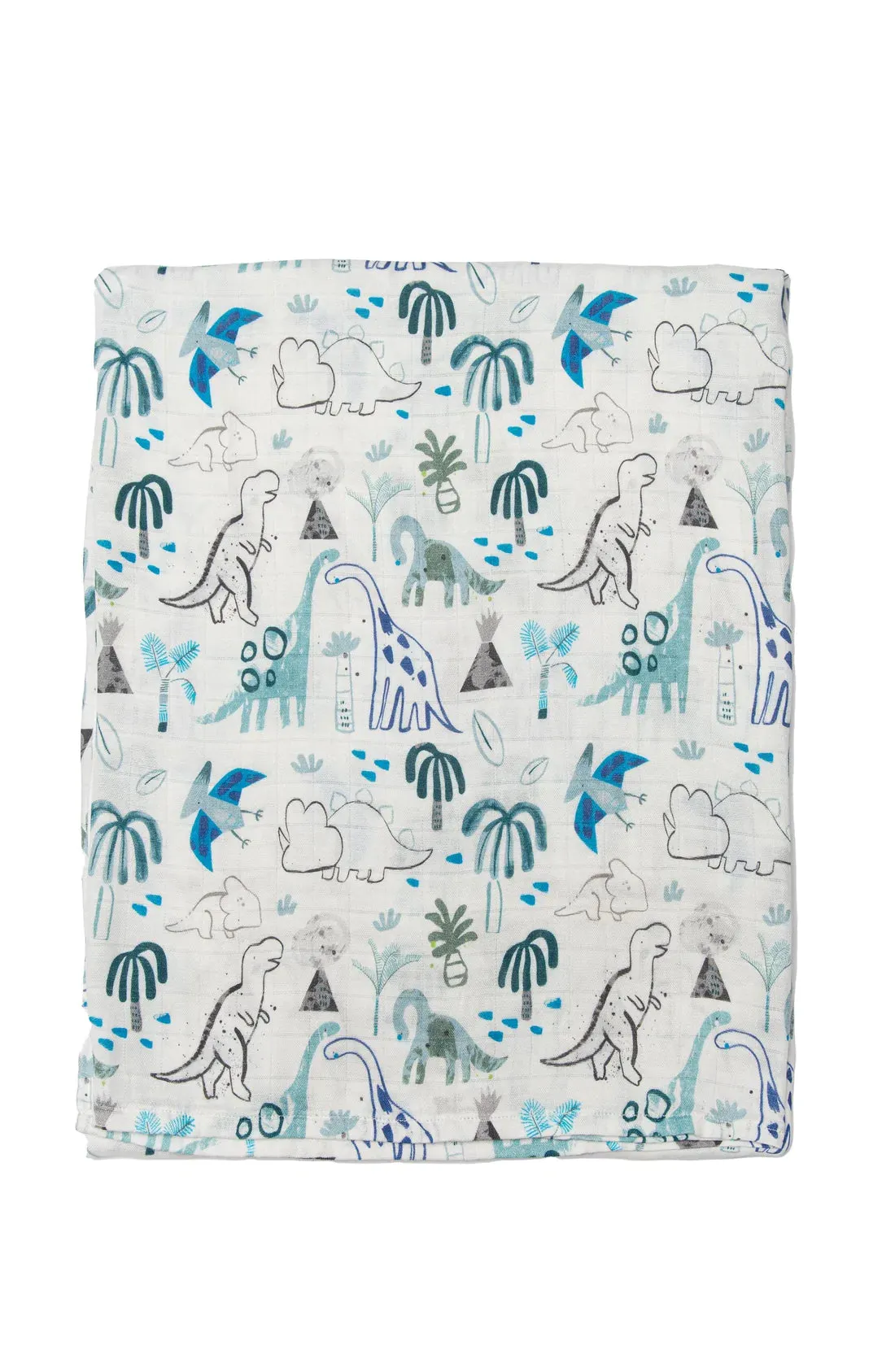 Muslin Swaddle, Dinosaurs