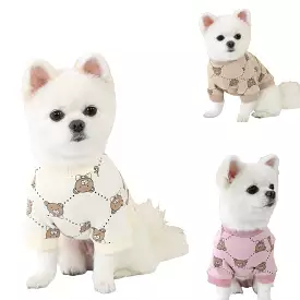 R logo Cute Bear Patterned Dogs Clothes Casual Comfortable Clothing Korean Designers Apparel Outfits Pets Knit Banding