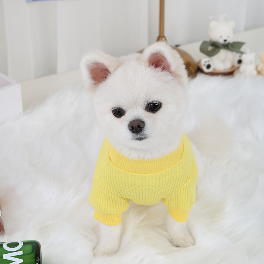 R logo Dogs Clothes Waffle patterned Casual Cute Comfortable Clothing Korean Designers Apparel Outfits Bright Colours Pets